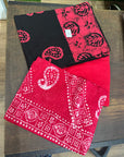 Bagru Print Cotton Suit