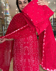 Elegant Embroidered Suit Set with Beaded Detailing
